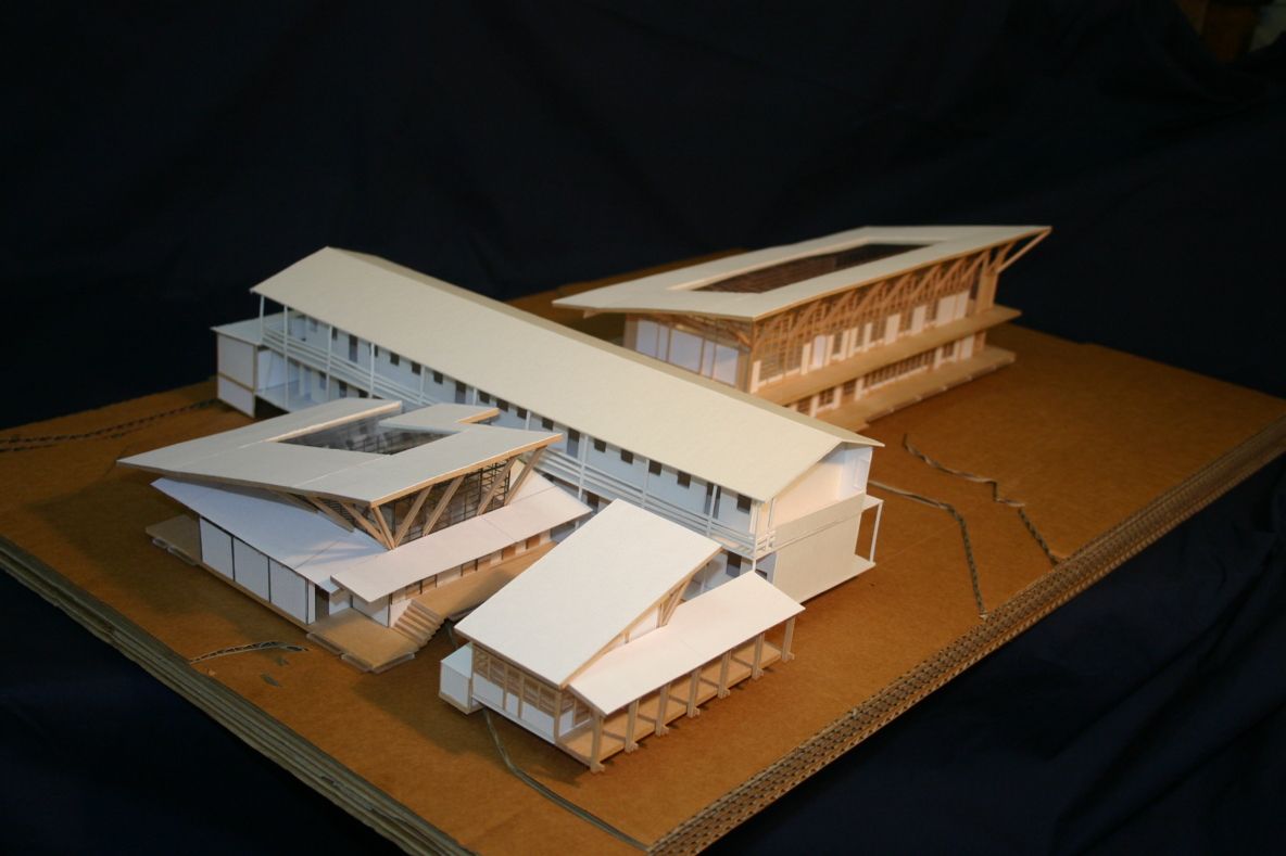 hospital healthcare model