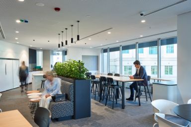 sonic it healthcare architecture workplace interior design