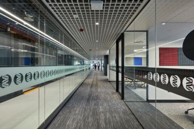 sonic it healthcare architecture workplace interior design