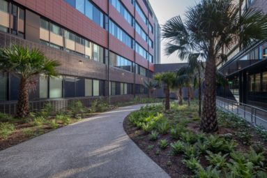 Hornsby Ku-ring-gai Hospital sustainable landscape redevelopment