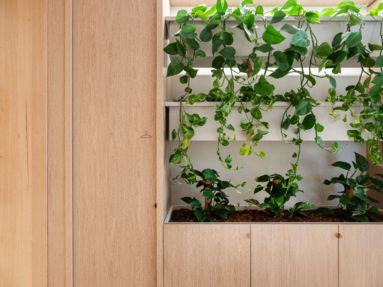 Workplace fitout planters allianz hobart