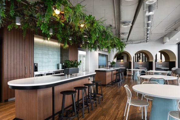 workplace interior design photography henry Schein halas
