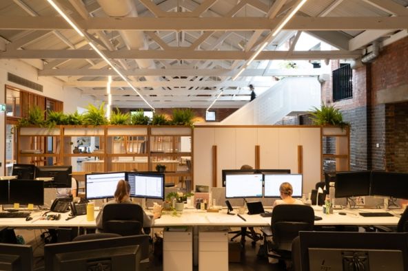 workplace interior design photography nettletontribe brisbane