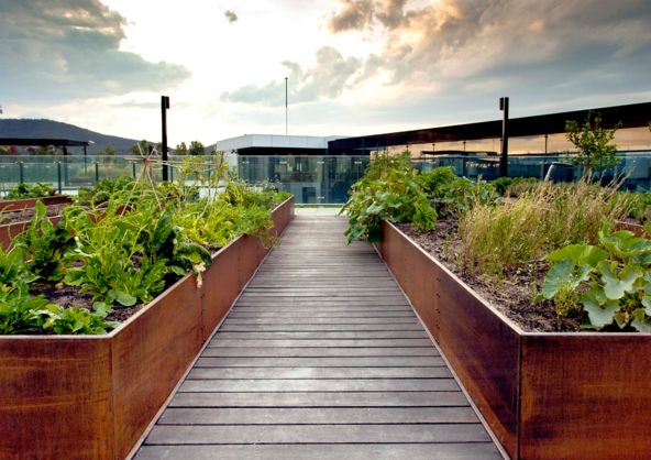 student housing architecture communal rooftop